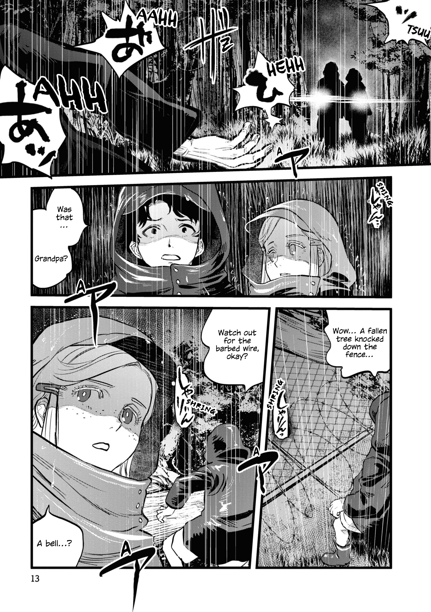 Page 13