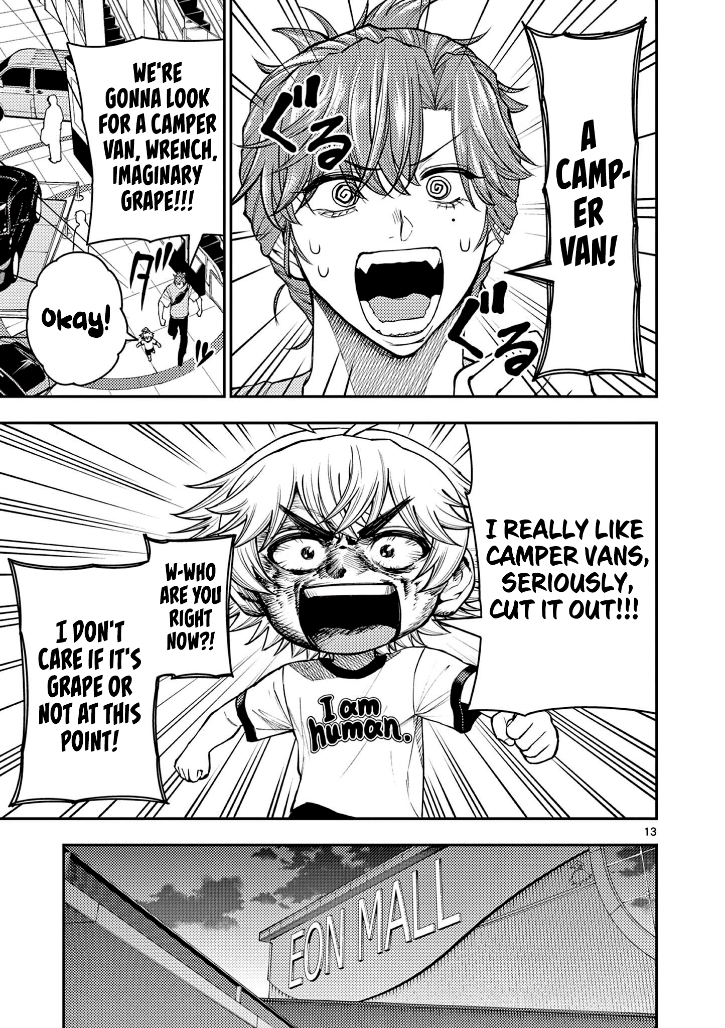 Page 13