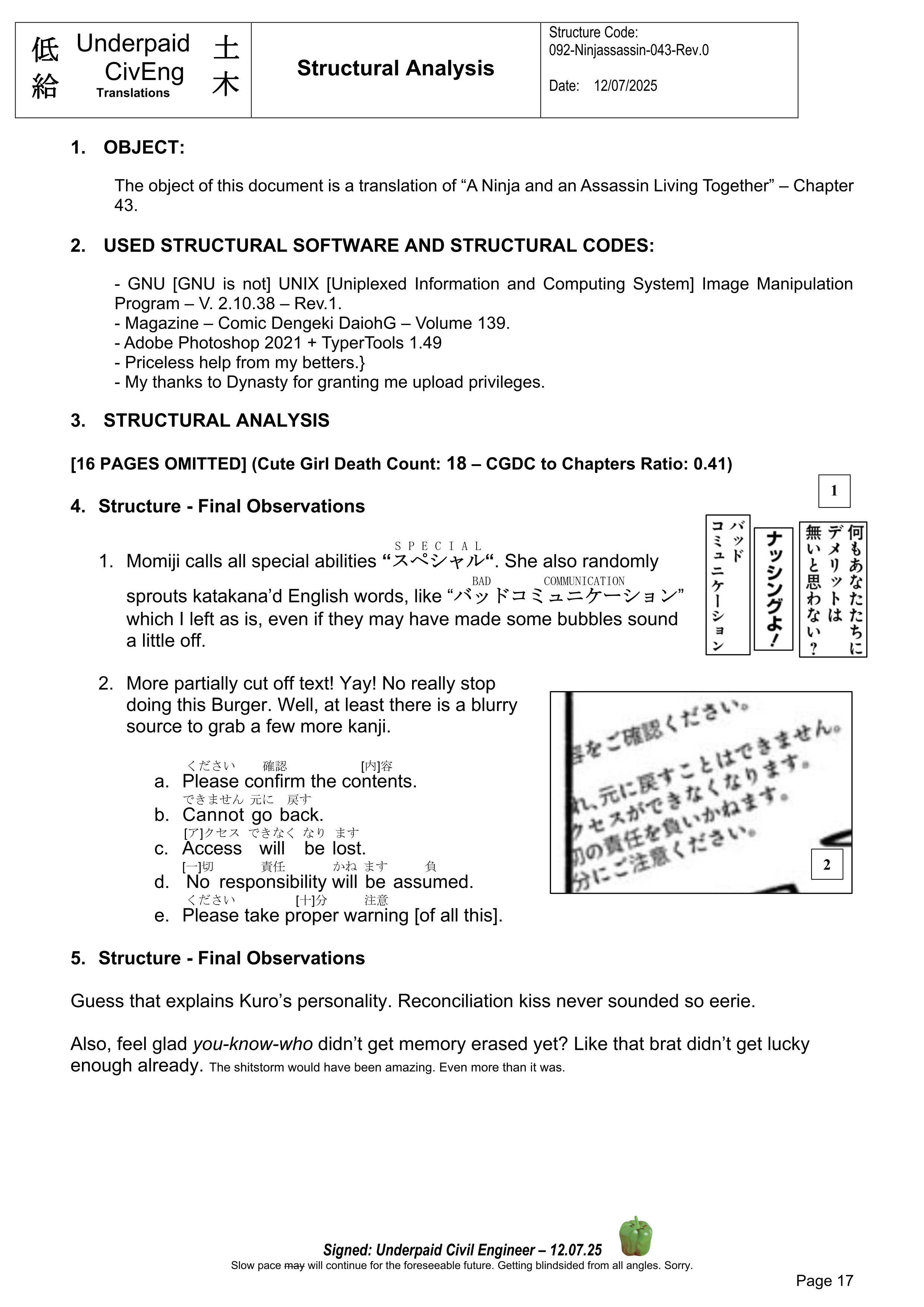 Page 17