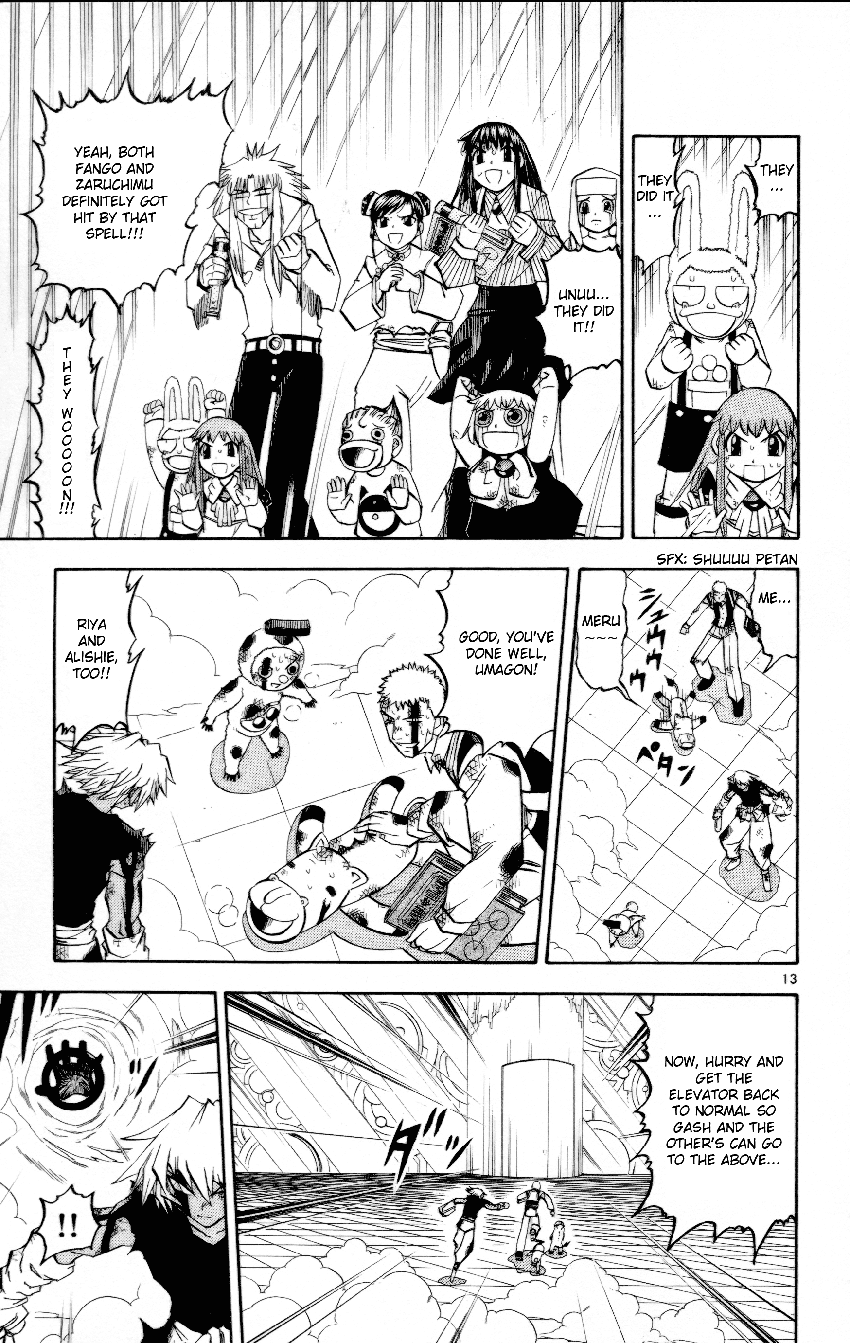 Page 13