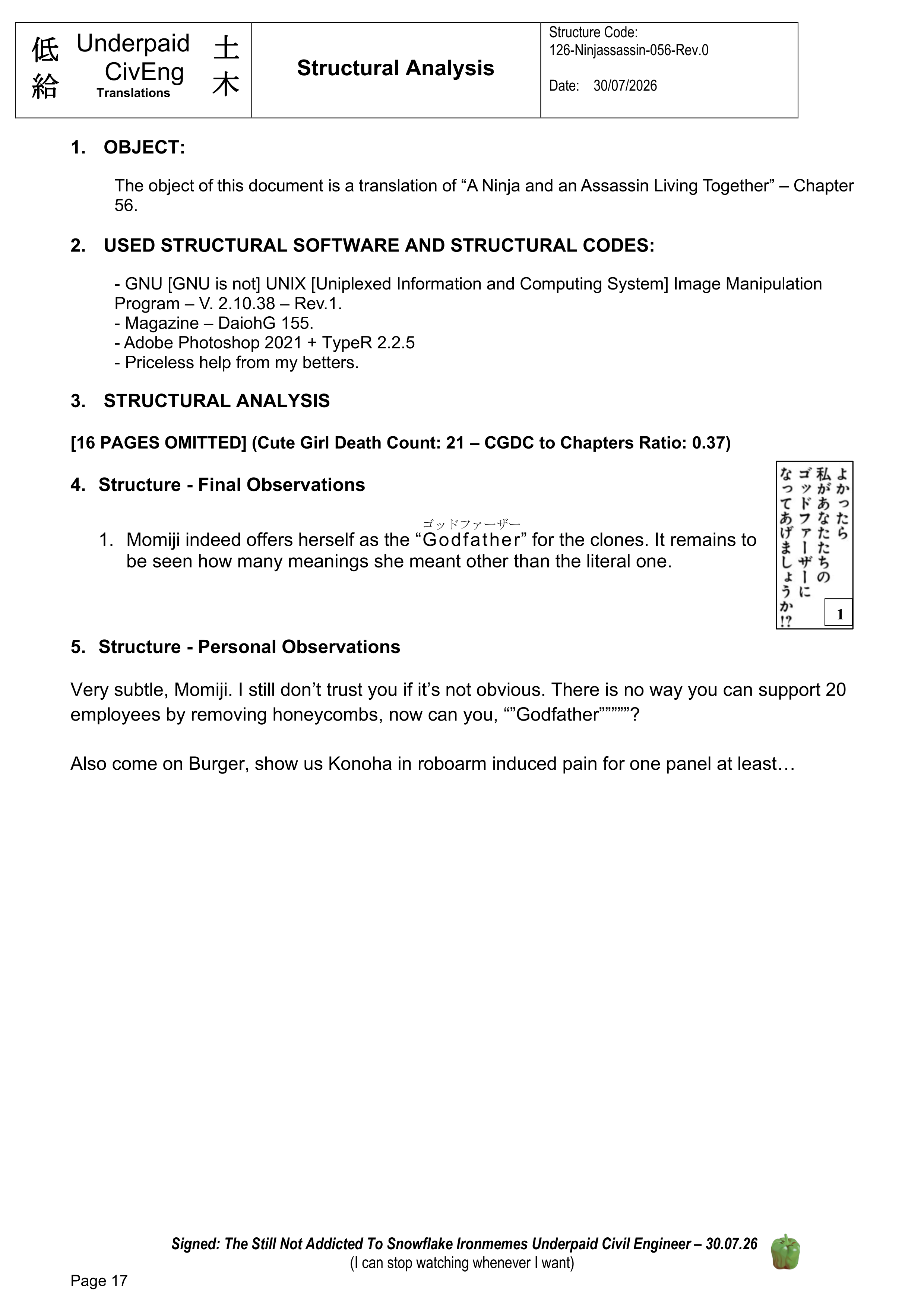 Page 17